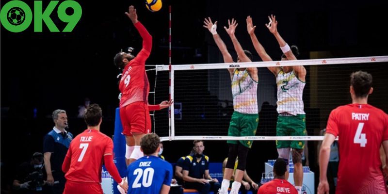 Cá cược bóng chuyền Ok9 là gì?